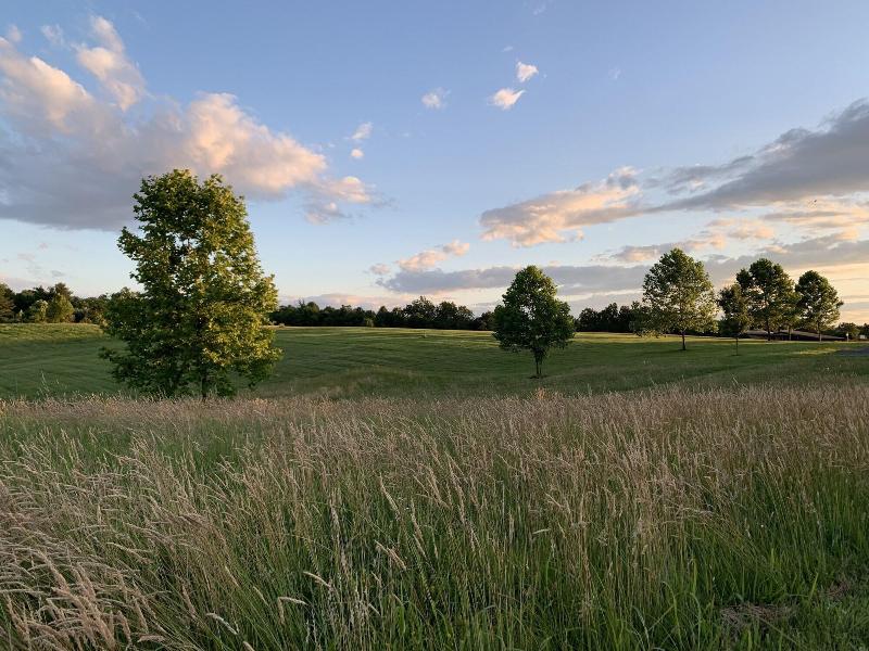 Loudoun Valley Manor image
