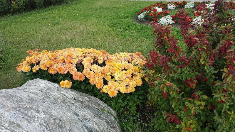 Preferred Rooms By Crestview Guest House, Chapleau