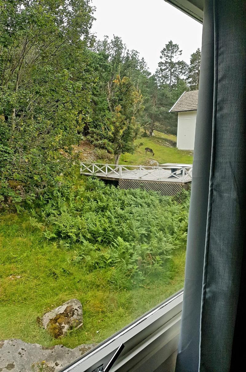 Hankø Hotell & Spa image