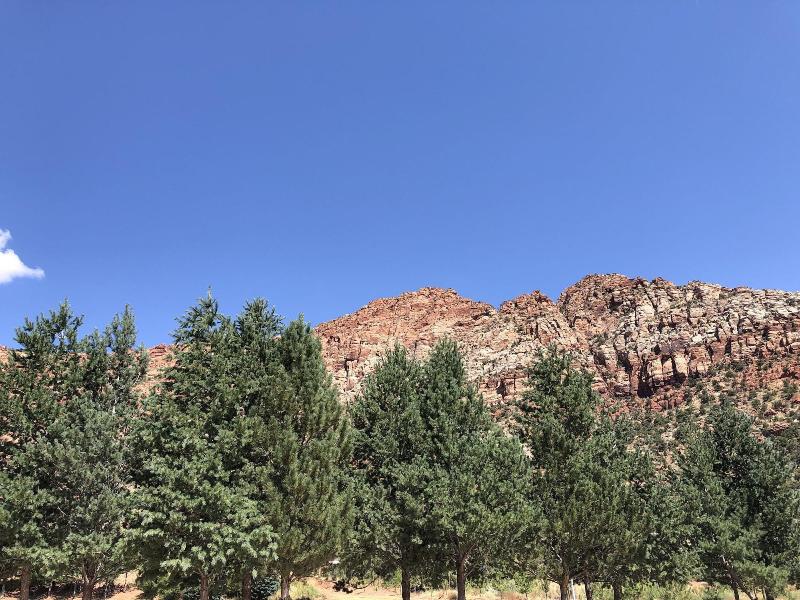 Zion Cliff Lodge image