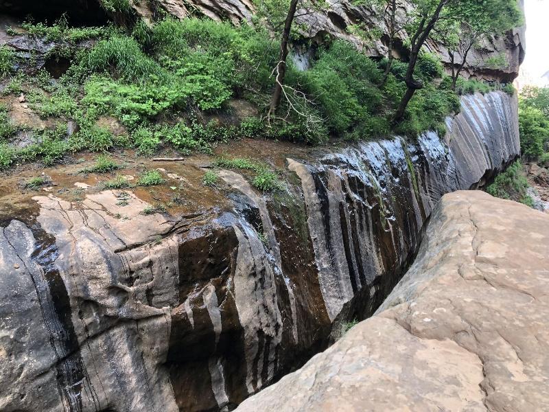 Zion Cliff Lodge image
