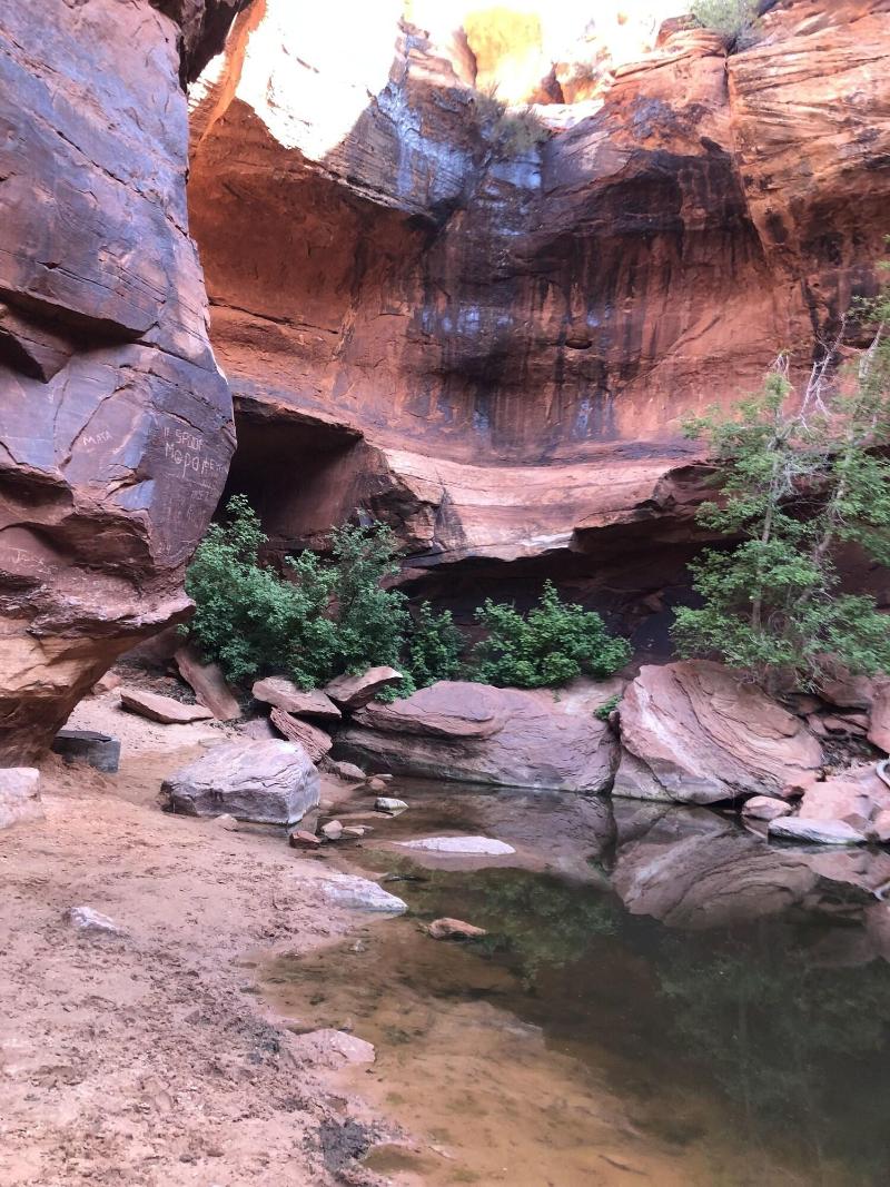Zion Cliff Lodge image
