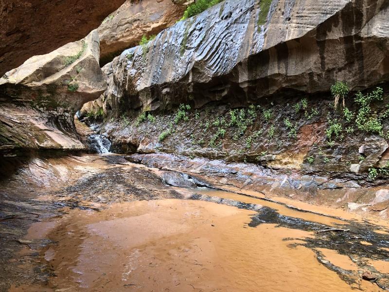 Zion Cliff Lodge image