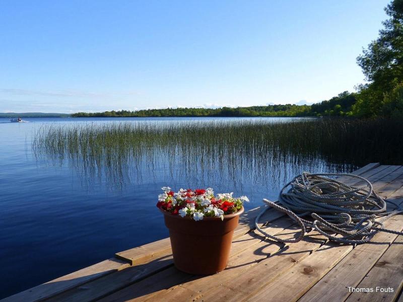 AJ's Walleye Lodge image