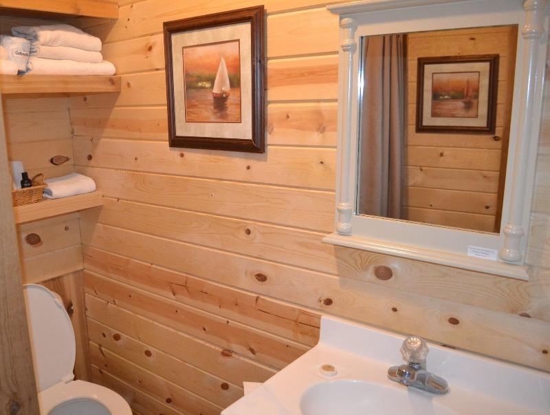 AJ's Walleye Lodge image