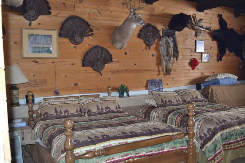 AJ's Walleye Lodge image 7