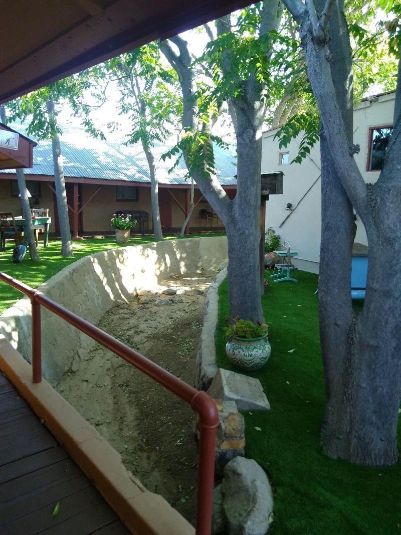 Shep's Miners Inn image