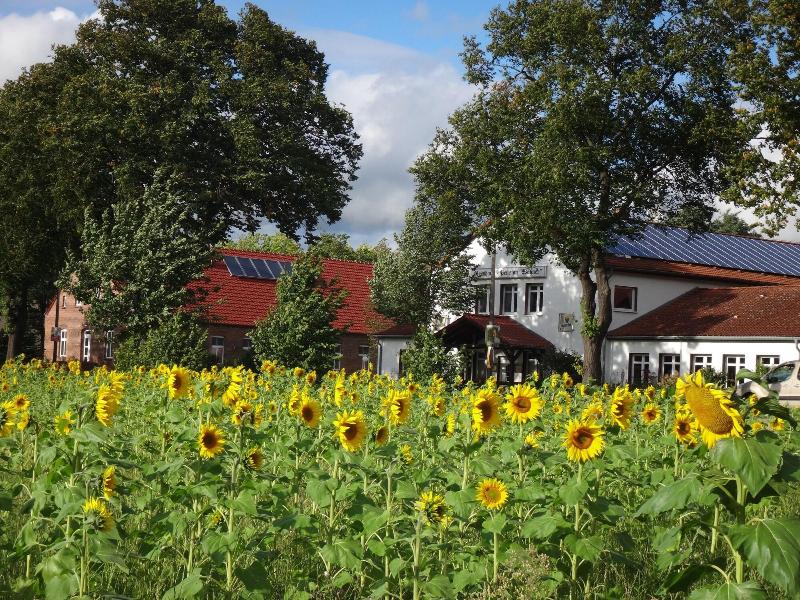 Gasthaus Wagner image