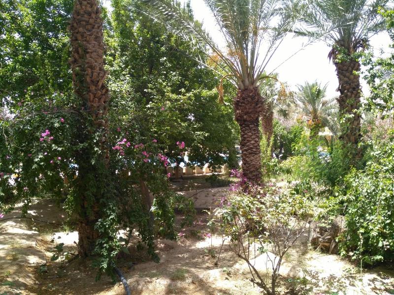 Hotel Jugurtha Palace image