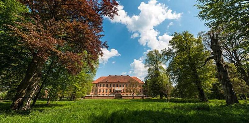 Schlosshotel Rühstädt GARNI image