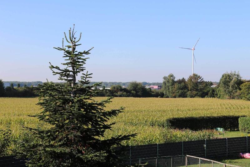 Zur Alten Schmiede image