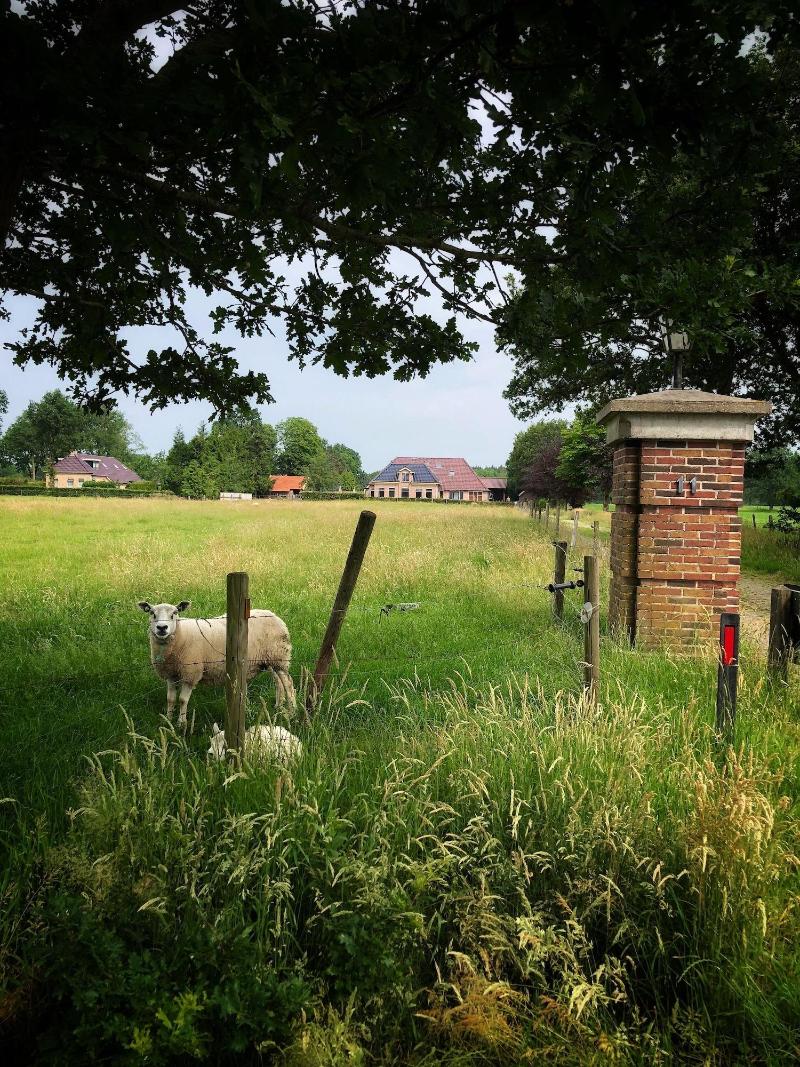B&B Zandhuizen image
