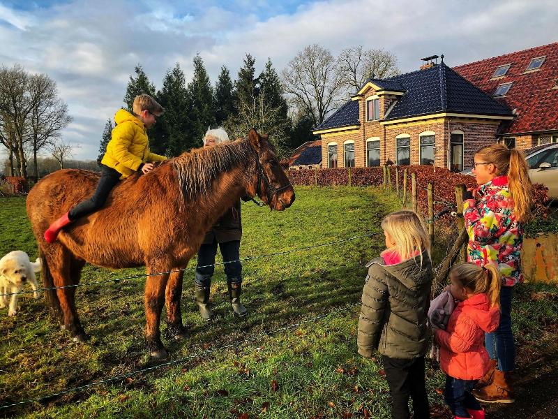 B&B Zandhuizen image