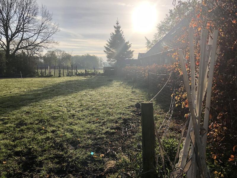 B&B Zandhuizen image