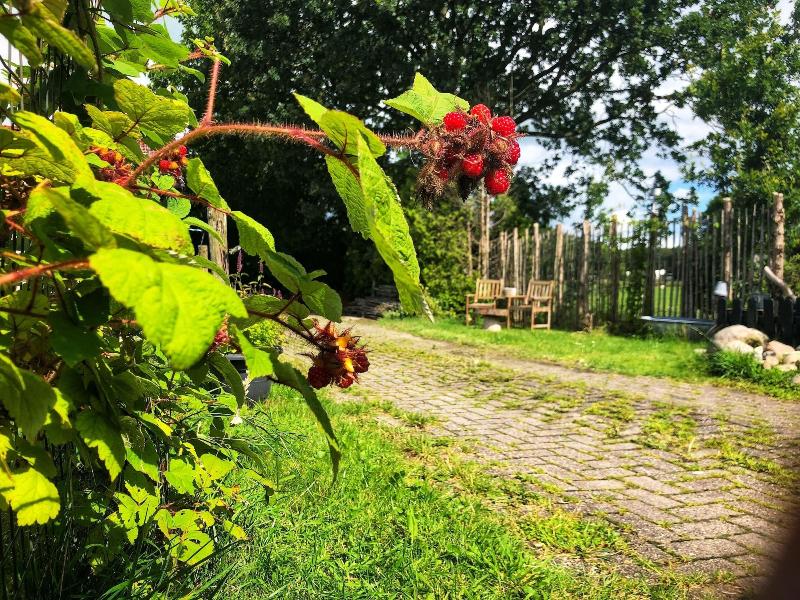 B&B Zandhuizen image