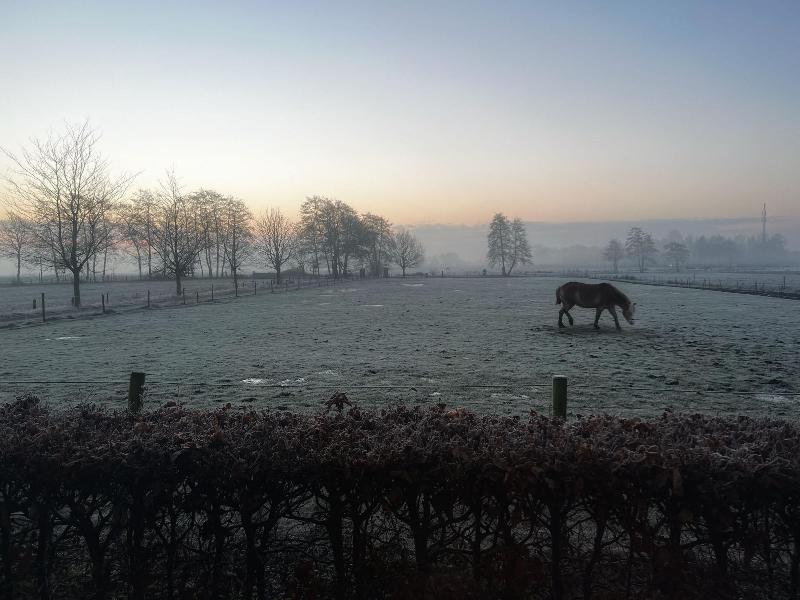 B&B Zandhuizen image