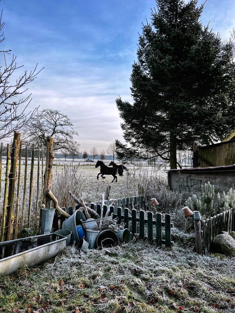 B&B Zandhuizen image