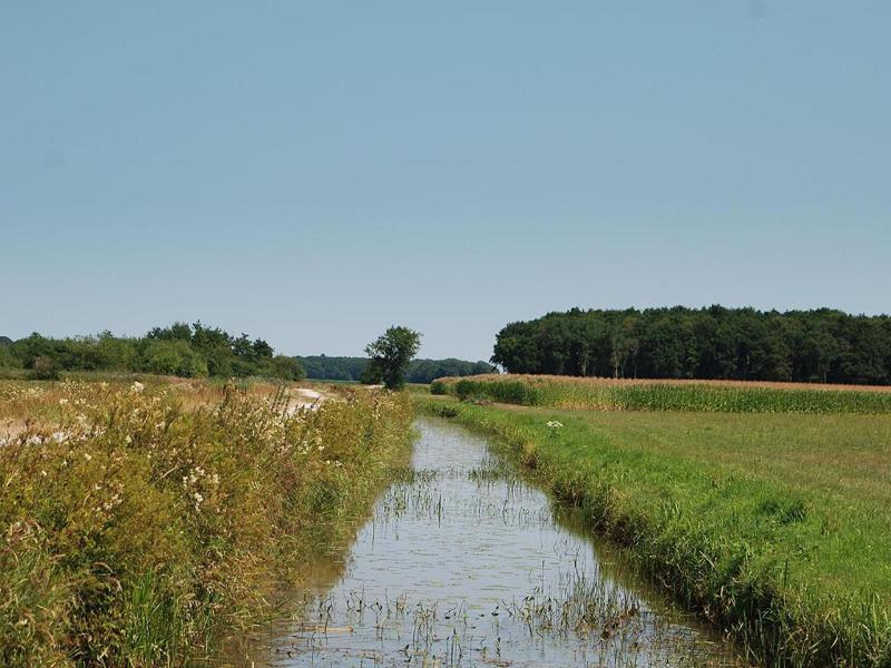 B&B Zandhuizen image