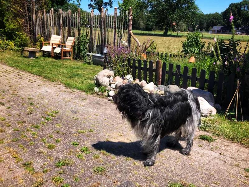 B&B Zandhuizen image
