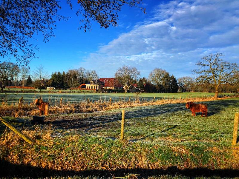 B&B Zandhuizen image