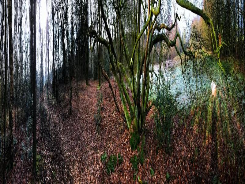 B&B Zandhuizen image