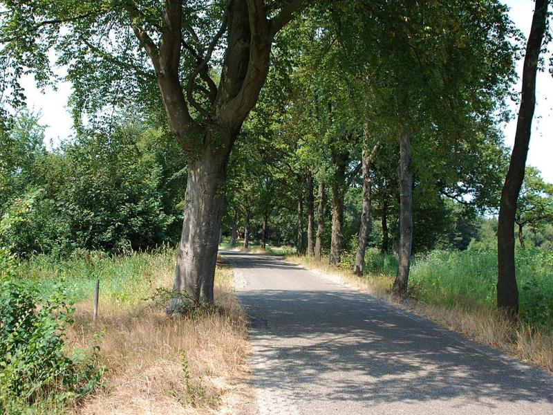 B&B Zandhuizen image