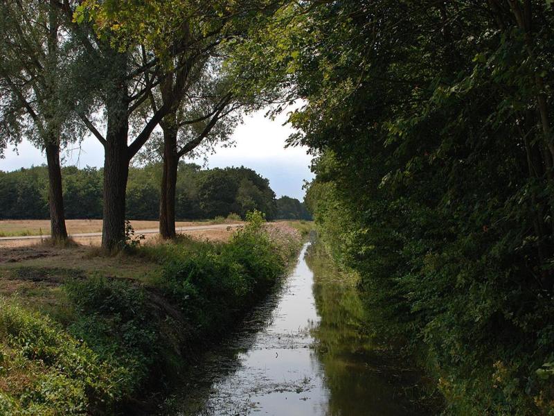 B&B Zandhuizen image