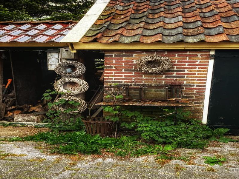 B&B Zandhuizen image