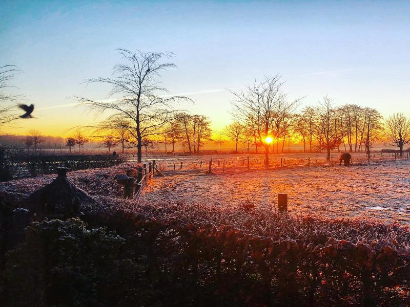 B&B Zandhuizen image