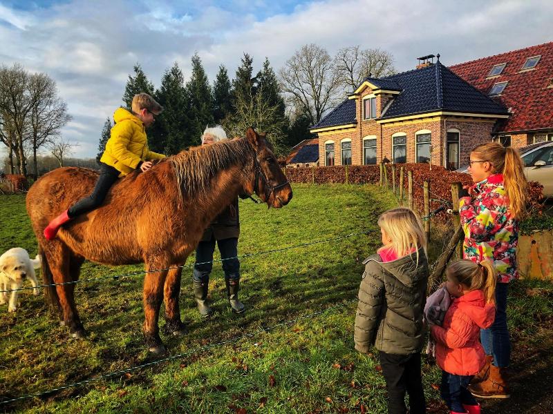 B&B Zandhuizen image