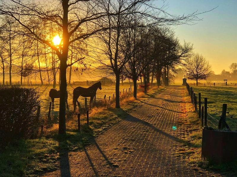 B&B Zandhuizen image