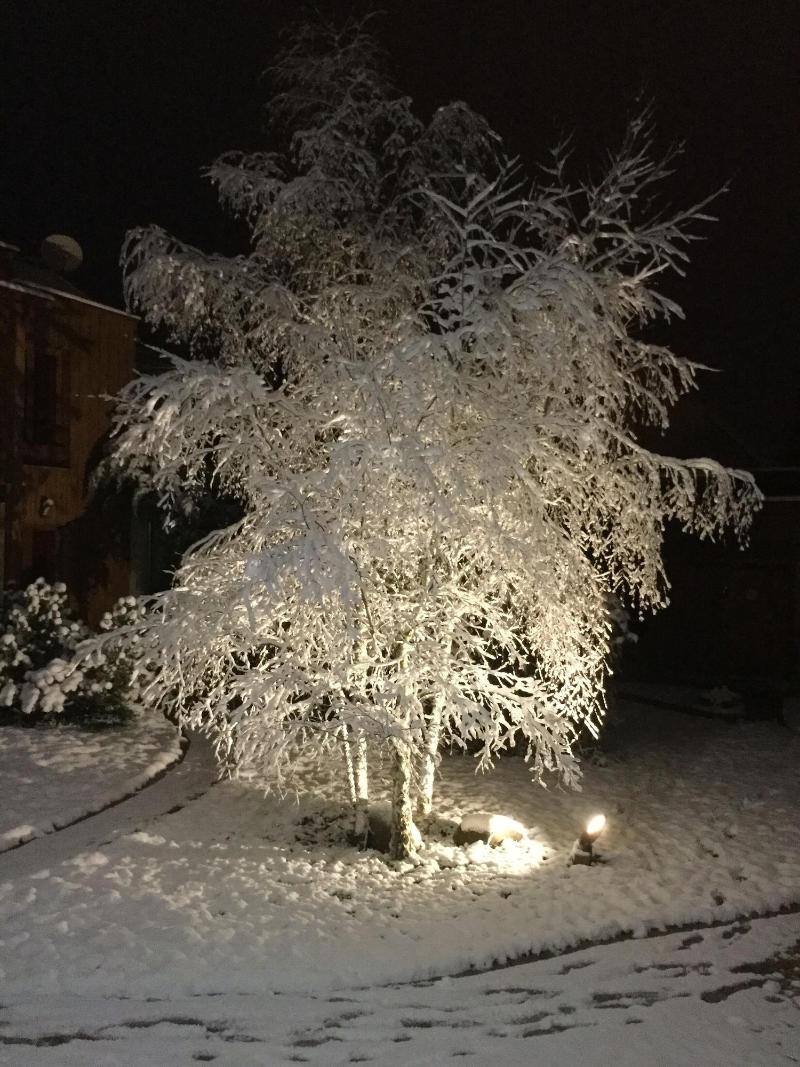 Les Crinieres En Brie image