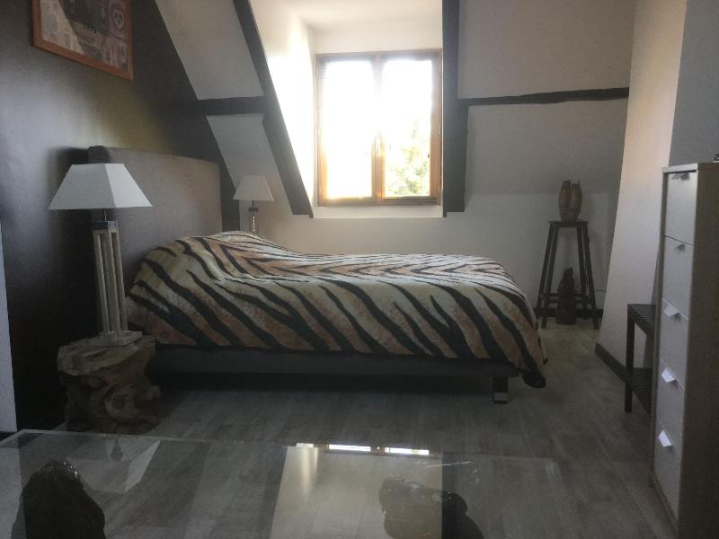 Les Crinieres En Brie image