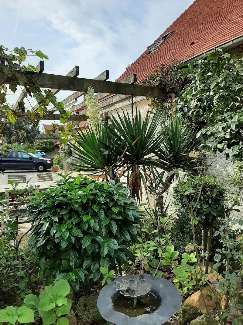Maison Cerviña image