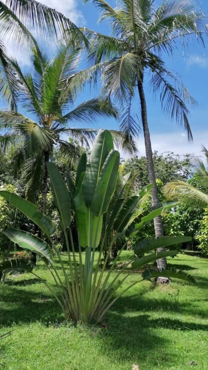 Ciamat Camp image