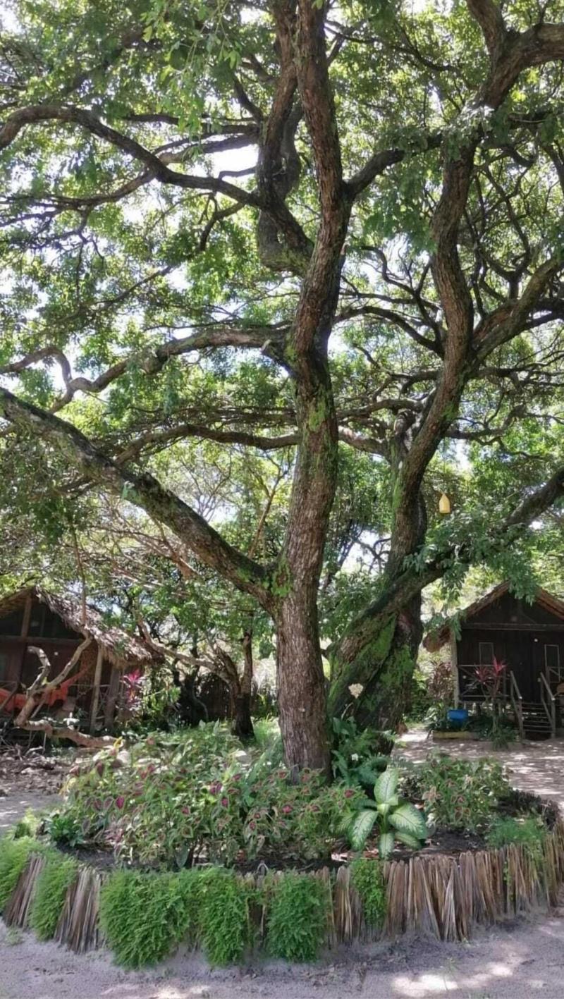Ciamat Camp image