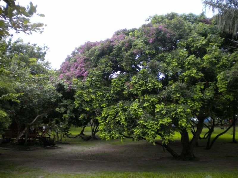 Ciamat Camp image