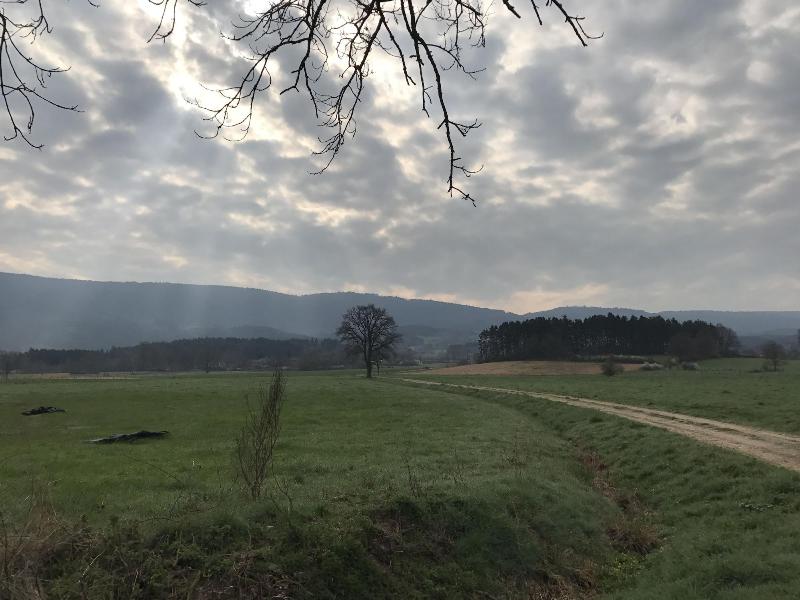Domaine La Reveille image