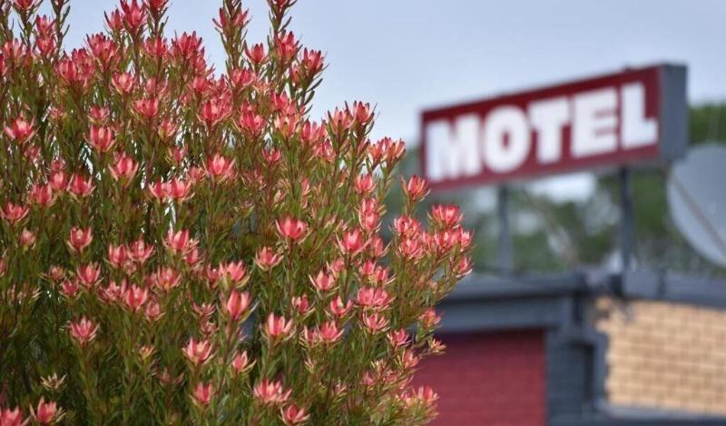 Edenhope Motor Inn — exterior view