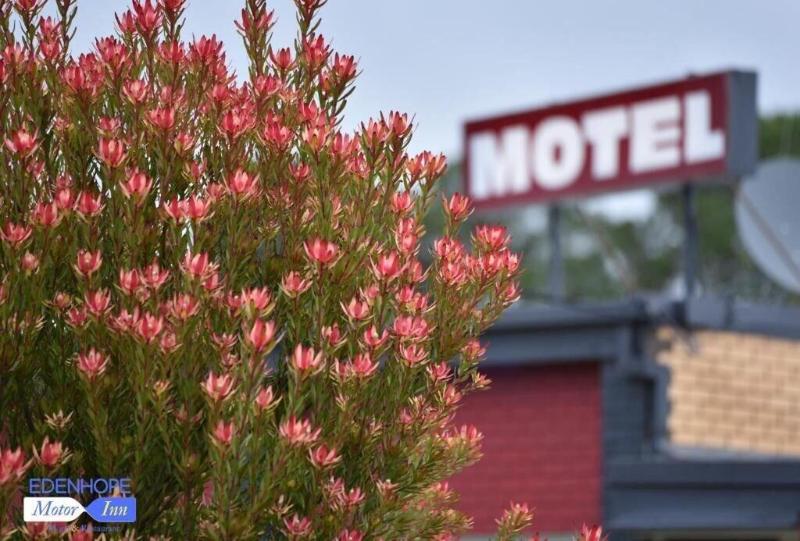 Edenhope Motor Inn — general view
