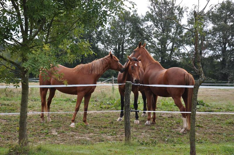 Ferme Passion image