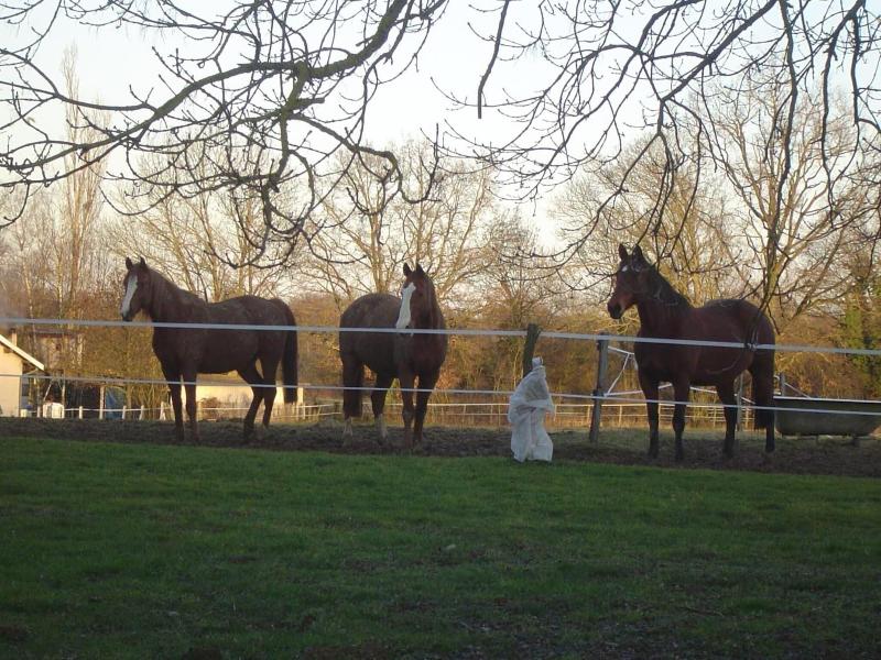 Ferme Passion image