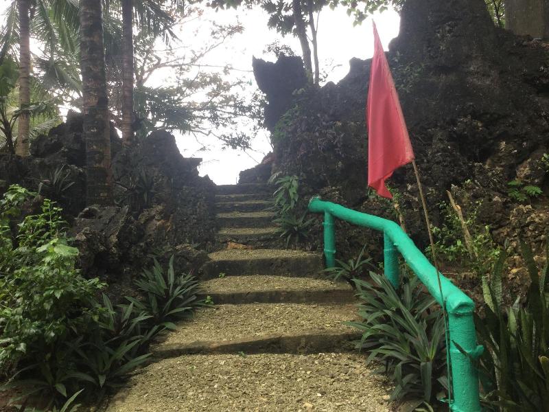 Turtle Cove Island Resort image