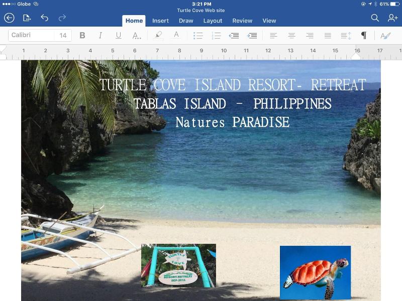 Turtle Cove Island Resort image