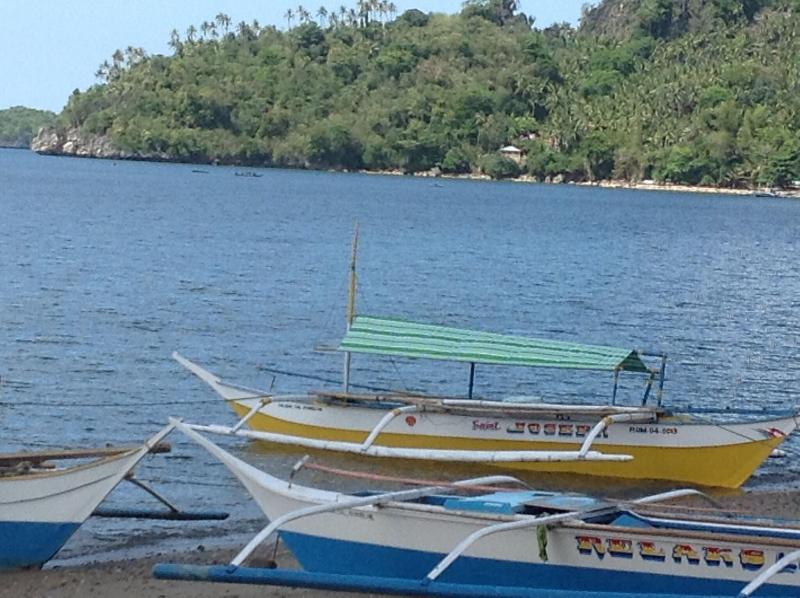 Turtle Cove Island Resort image
