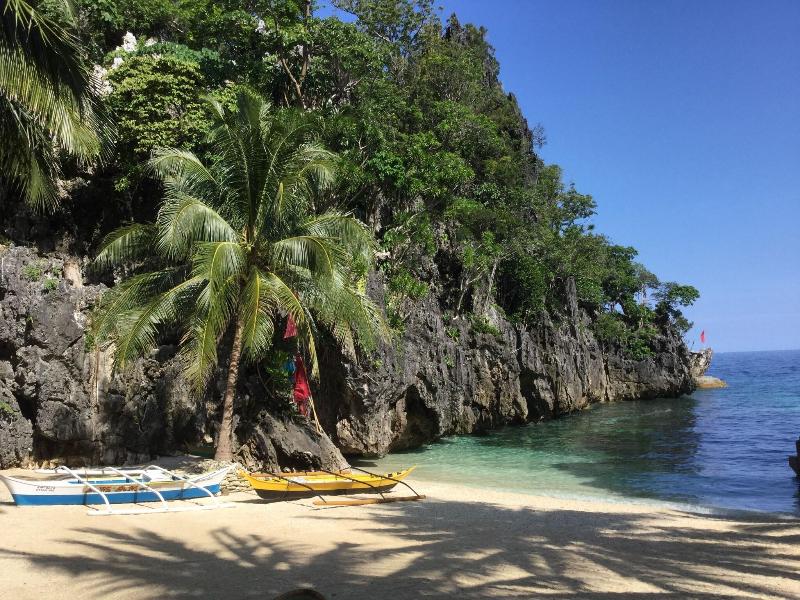 Turtle Cove Island Resort image