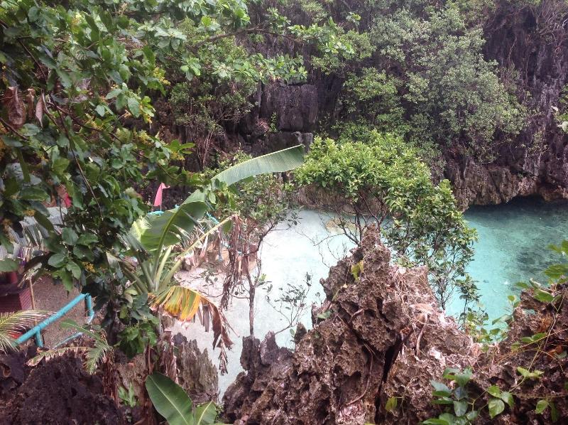Turtle Cove Island Resort image