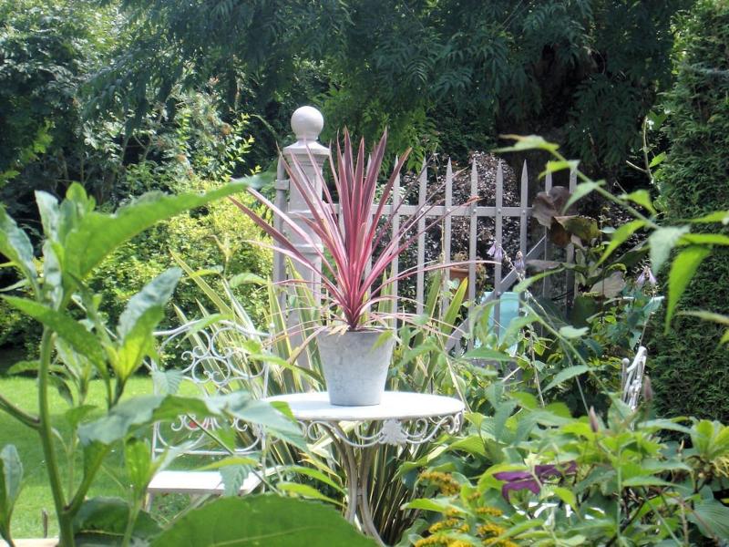Le Frêne Fringant image