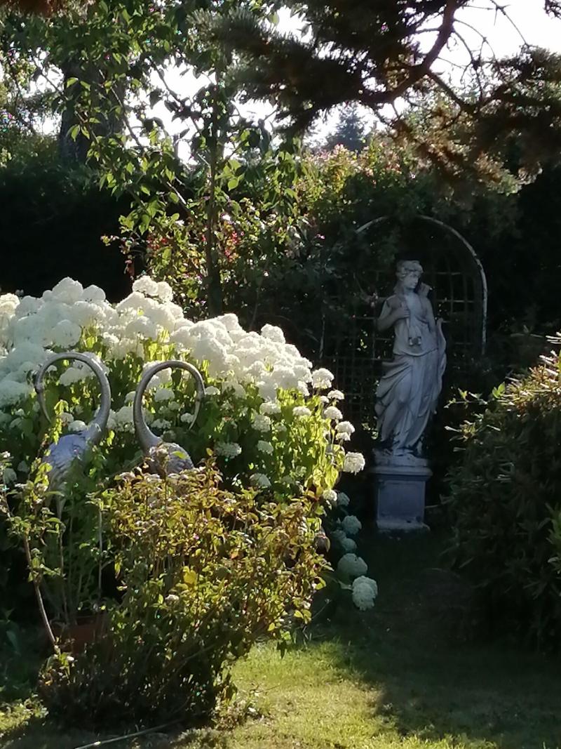 Le Frêne Fringant image