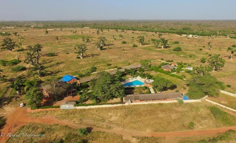 Baobab Soleil image